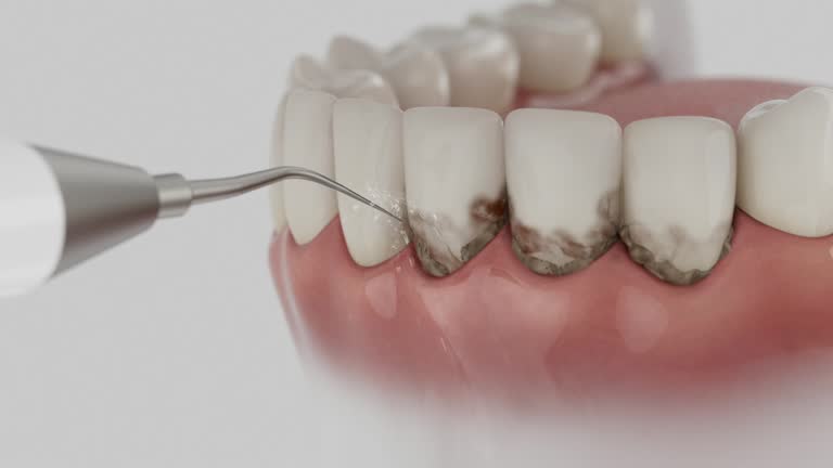 Reliable Dental contractor in Iron Mountain, MI by Dentist Open Now